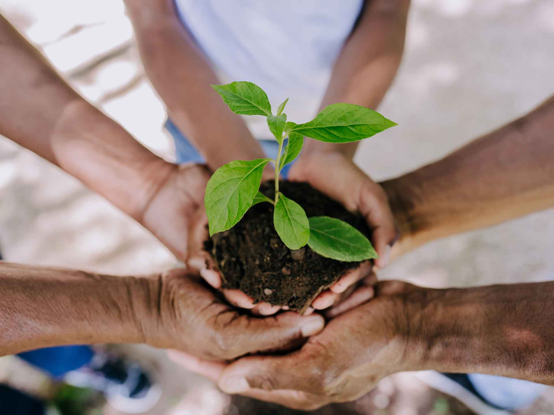 BİGEDER Faaliyetleri