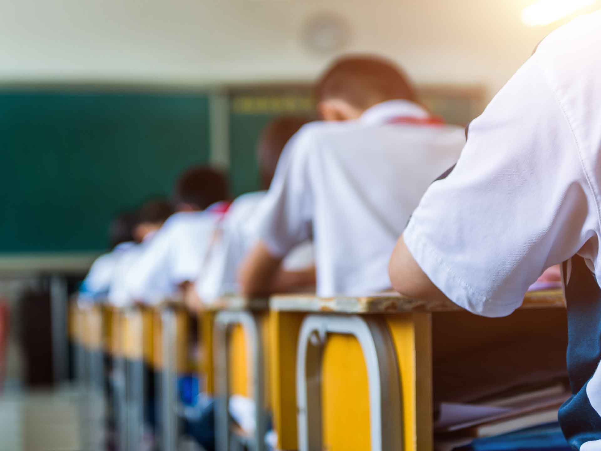 BİGEDER Faaliyetleri